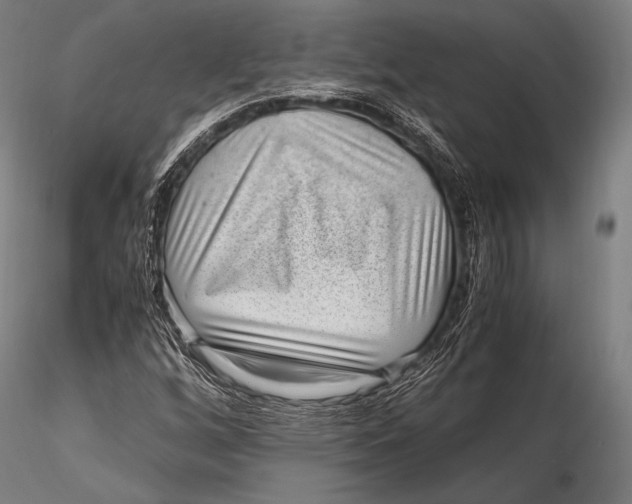 X0000115481256200912040944