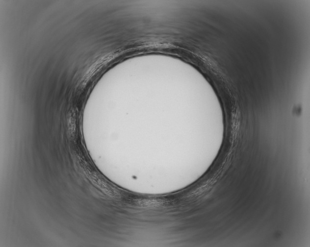 X0000115481257200912040944