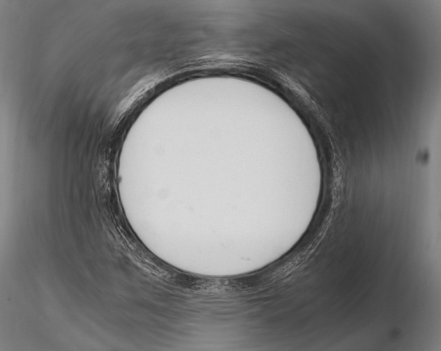 X0000115481259200912040944