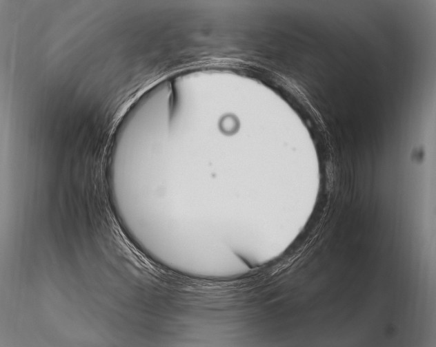 X0000115481260200912040944