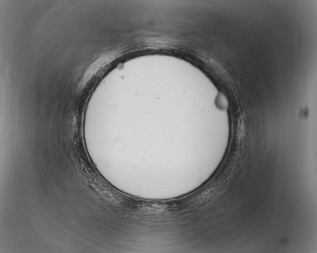 X0000115481261200912040944