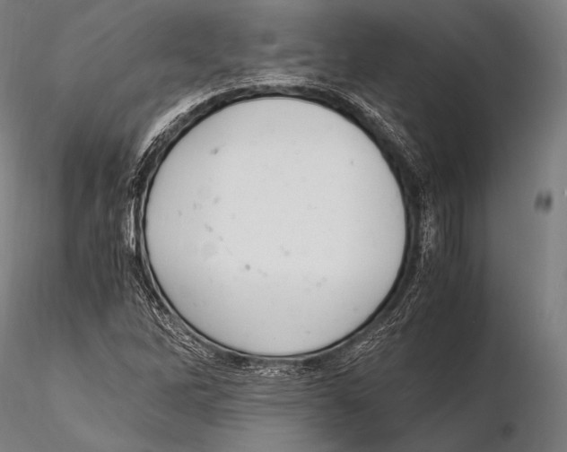 X0000115481262200912040944