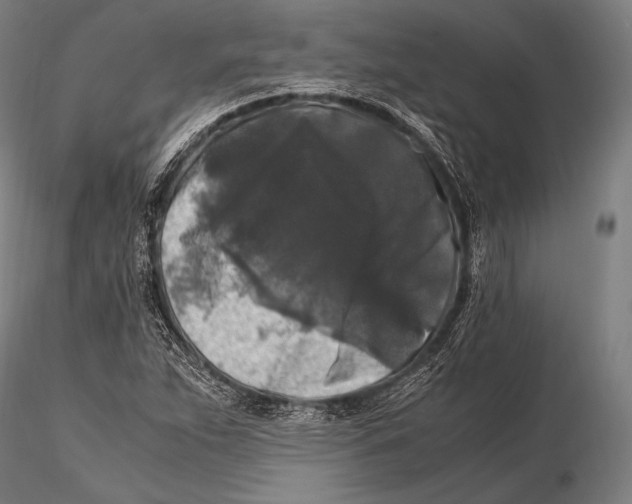 X0000115481263200912040944