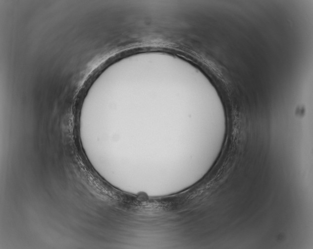 X0000115481264200912040944