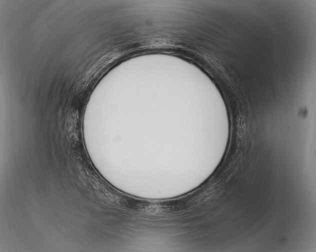 X0000115481265200912040944