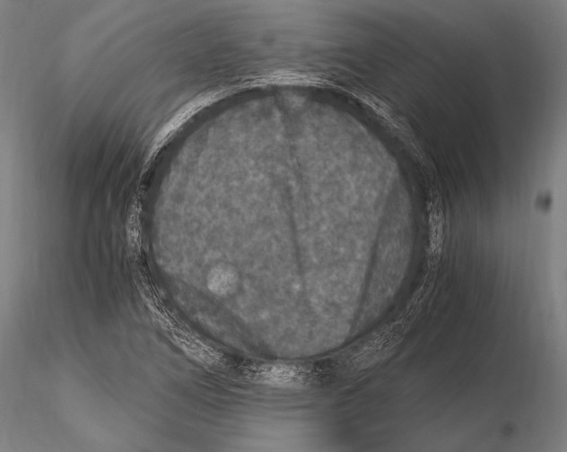 X0000115481266200912040944