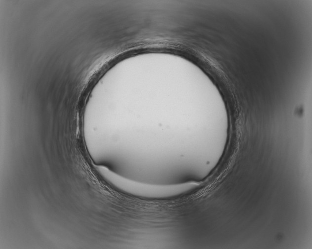 X0000115481267200912040944