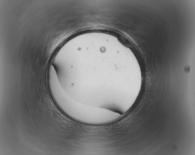 X0000115481269200912040944