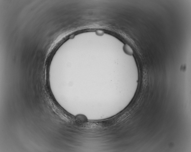 X0000115481270200912040944