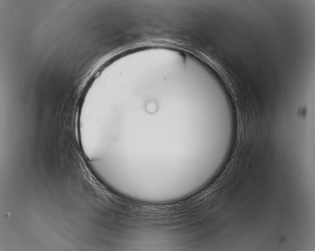 X0000115481272200912040944
