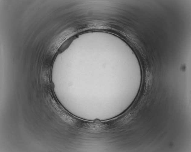 X0000115481273200912040944