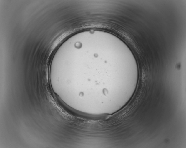 X0000115481274200912040944
