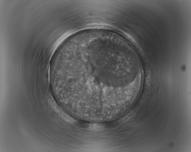 X0000115481275200912040944