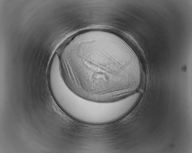 X0000115481276200912040944