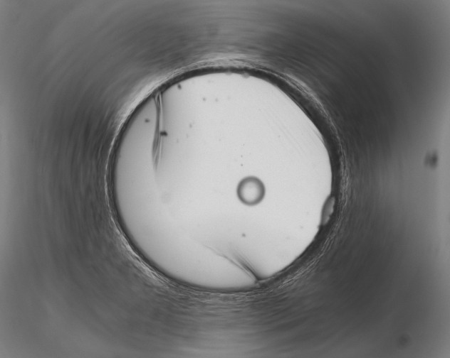 X0000115481277200912040944