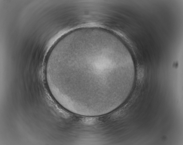 X0000115481278200912040944