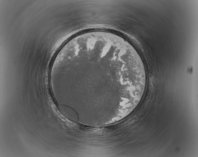X0000115481279200912040944