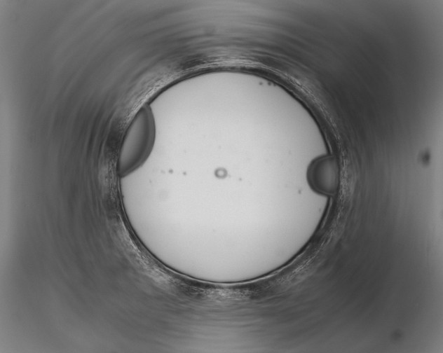 X0000115481281200912040944
