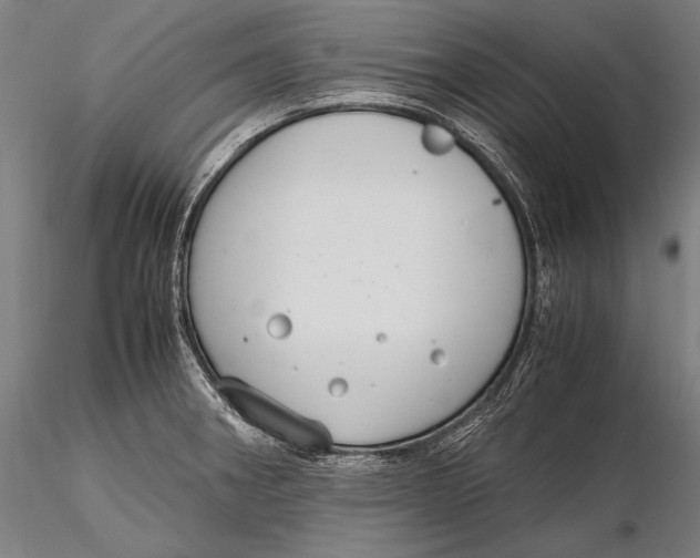 X0000115481282200912040944