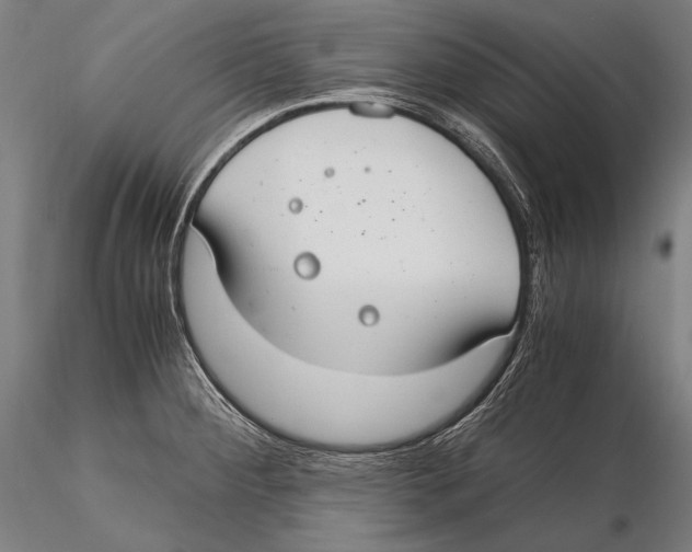 X0000115481284200912040944
