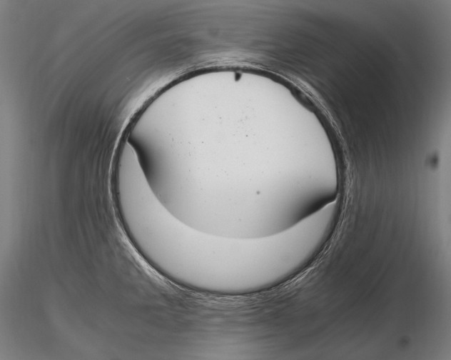 X0000115481285200912040944