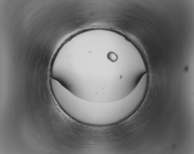 X0000115481288200912040944