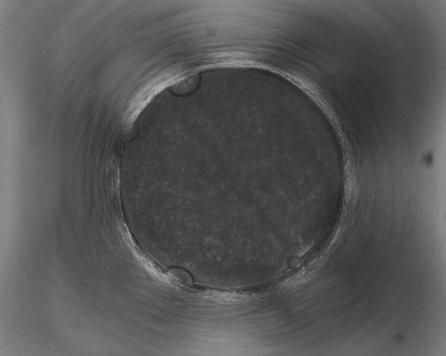 X0000115481289200912040944