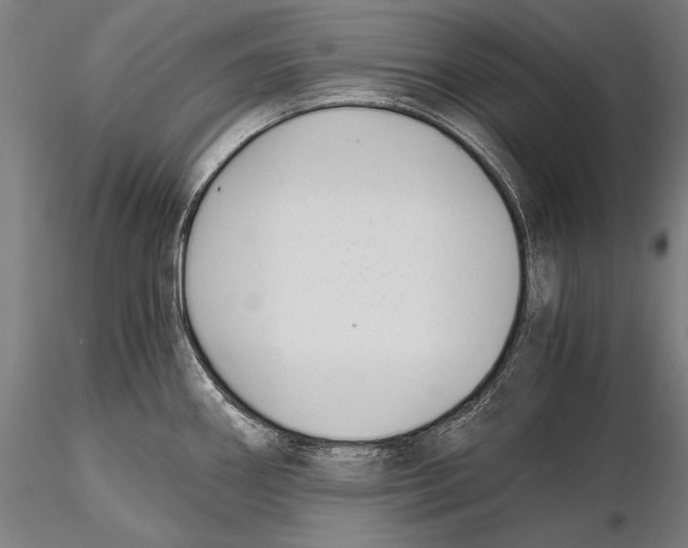 X0000115481290200912040944