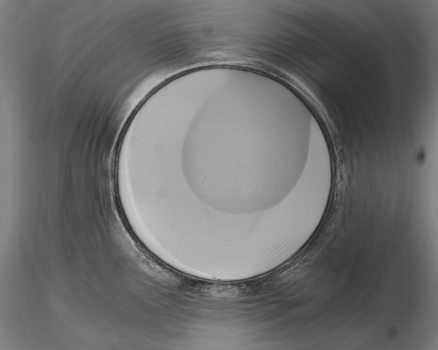 X0000115481291200912040944