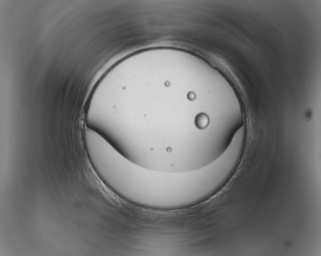 X0000115481292200912040943
