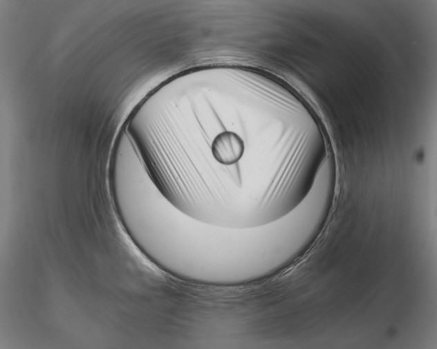 X0000115481293200912040943