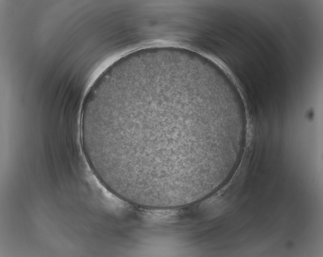 X0000115481294200912040943