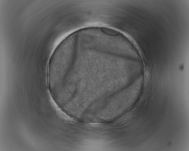 X0000115481295200912040943