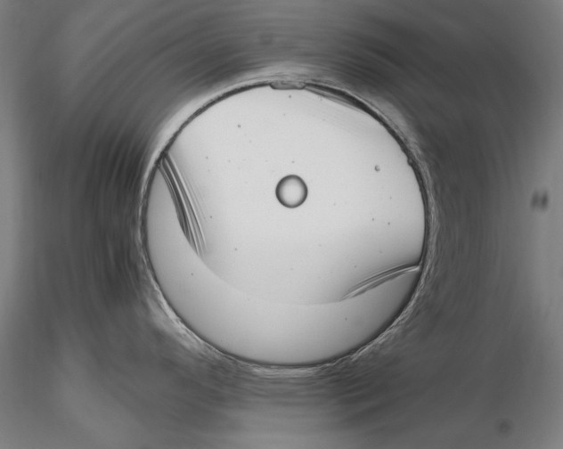 X0000115481296200912040943