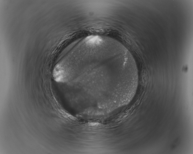 X0000115481297200912040943