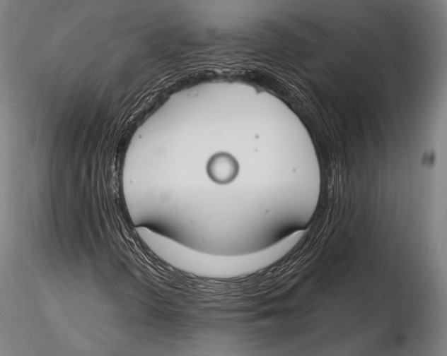 X0000115481298200912040943