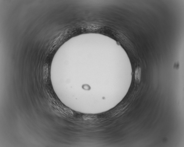 X0000115481299200912040943