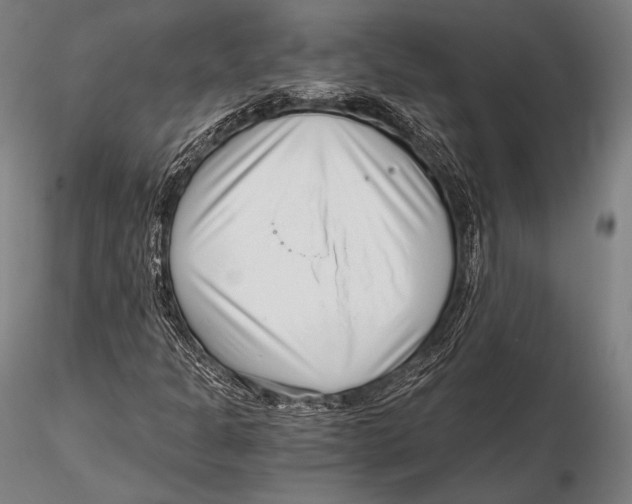 X0000115481301200912040943