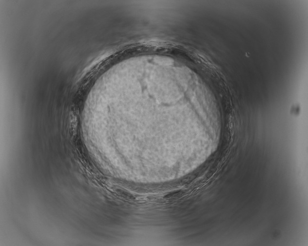 X0000115481302200912040943