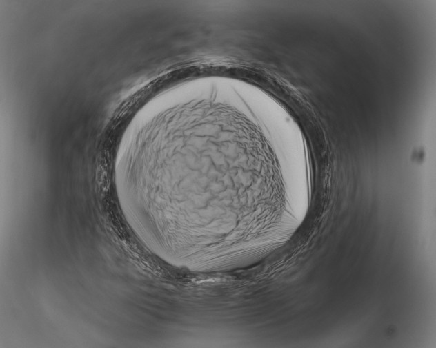 X0000115481303200912040943