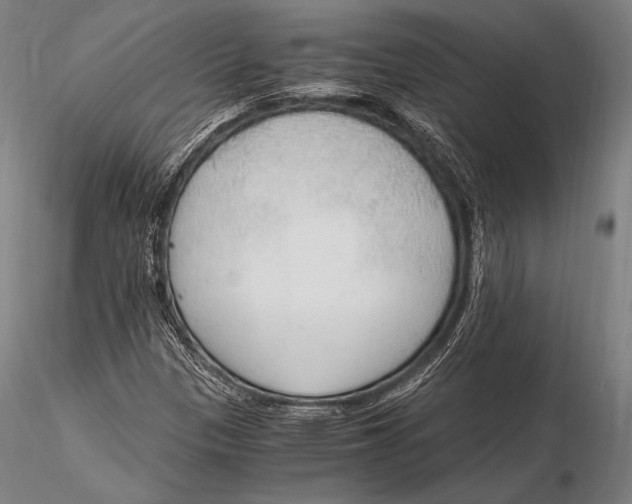 X0000115481305200912040943