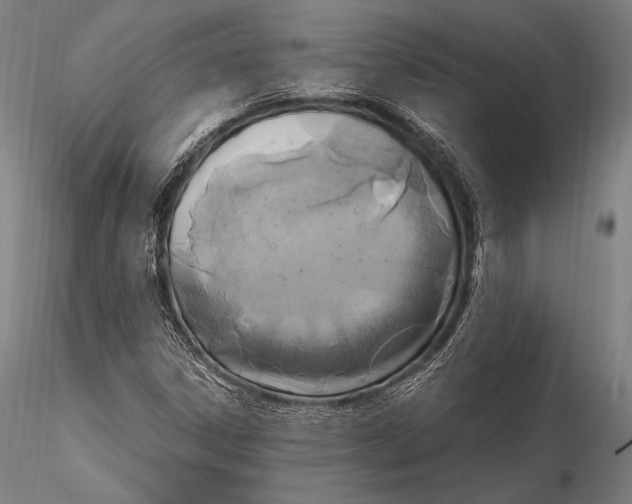 X0000115481306200912040943