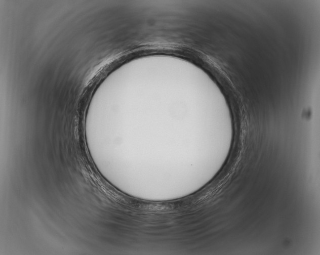 X0000115481307200912040943