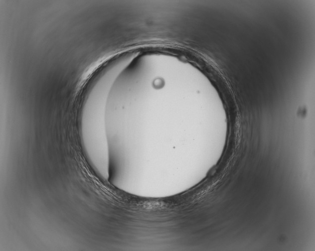 X0000115481310200912040943