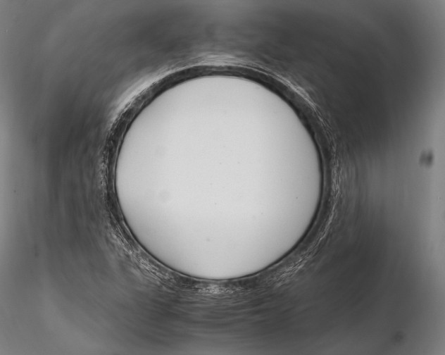 X0000115481311200912040943