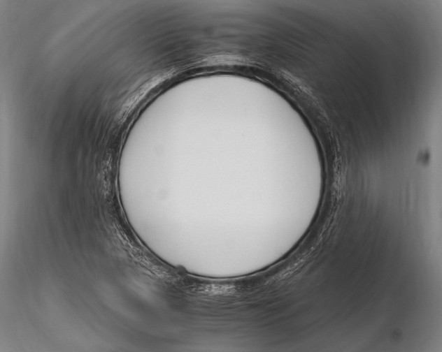 X0000115481313200912040943