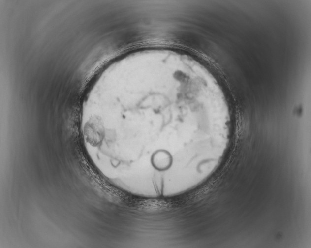 X0000115481314200912040943