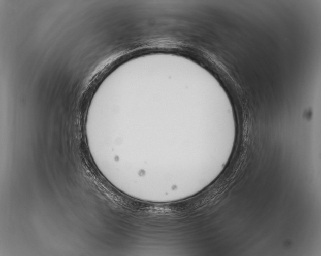 X0000115481315200912040943