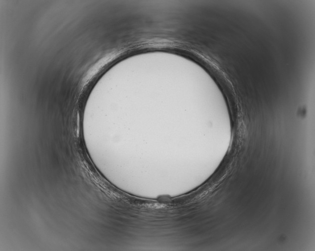 X0000115481317200912040943