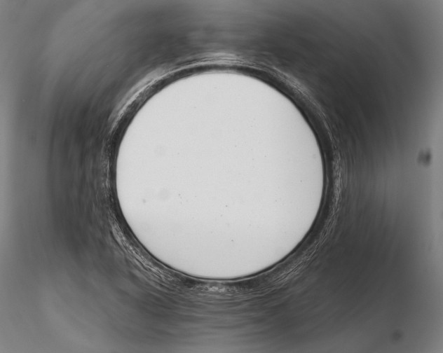 X0000115481318200912040943